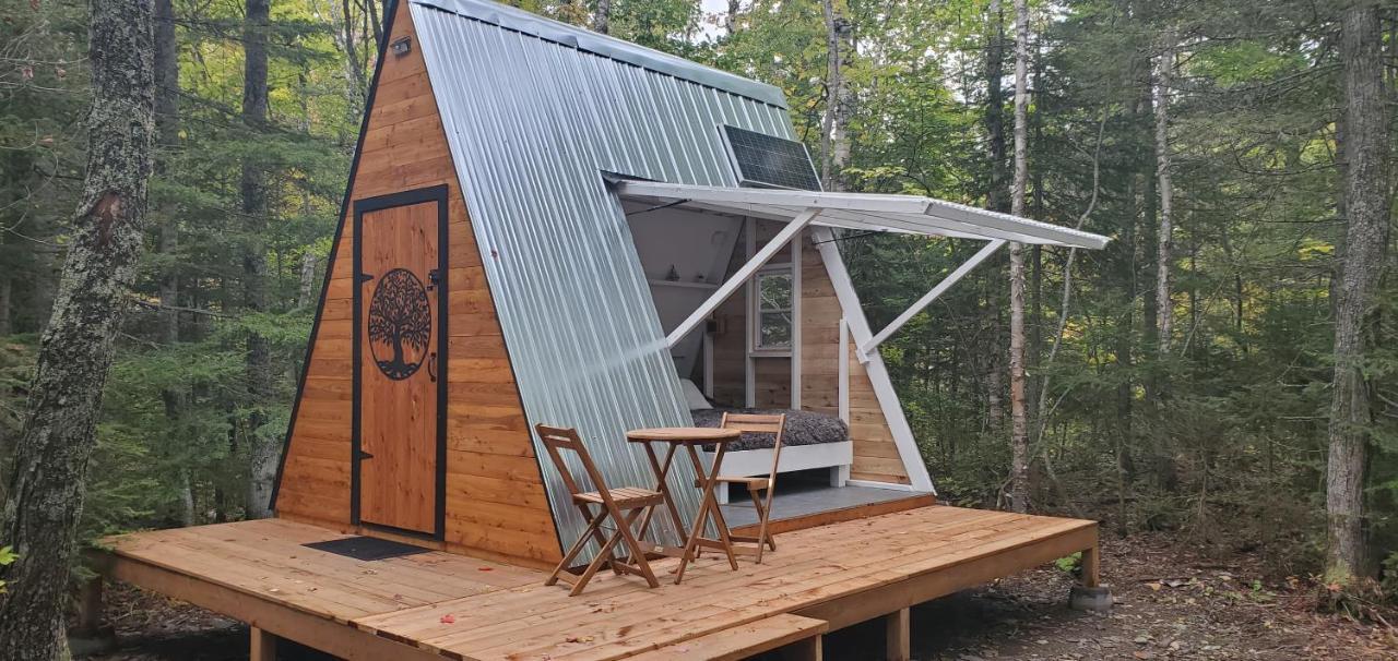 La Cabane Secrete Matane Exterior photo